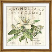 Framed Magnolia de Printemps