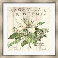 Framed Magnolia de Printemps