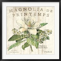 Framed Magnolia de Printemps