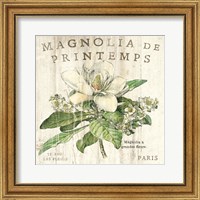 Framed Magnolia de Printemps