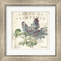 Framed Lilas de Printemps