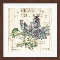 Framed Lilas de Printemps