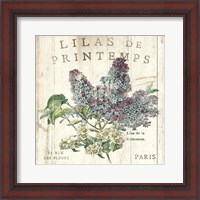 Framed Lilas de Printemps