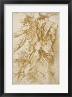 Framed Anatomical Studies