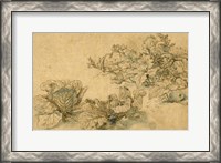 Framed Studies of a Marrow Plant and Cabbages