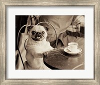 Framed Cafe Pug