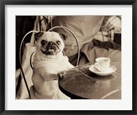 Framed Cafe Pug