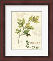 Framed Aromatique I