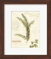 Framed 'Aromatique II' border=