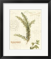 Framed 'Aromatique II' border=