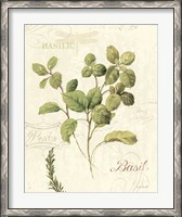 Framed Aromatique III