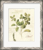 Framed Aromatique III