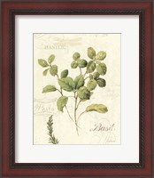 Framed Aromatique III