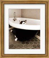 Framed Kitty III