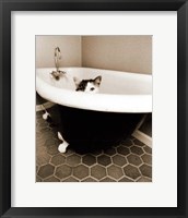 Framed Kitty III