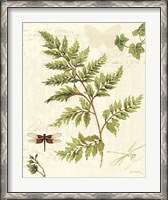 Framed Ivies and Ferns I