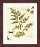 Framed Ivies and Ferns I