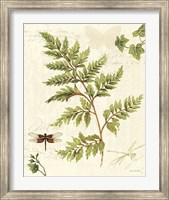 Framed Ivies and Ferns I