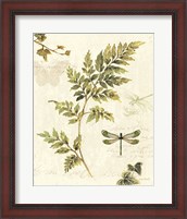 Framed Ivies and Ferns III