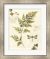 Framed Ivies and Ferns III