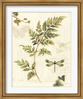 Framed Ivies and Ferns III