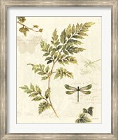 Framed Ivies and Ferns III