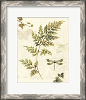 Framed 'Ivies and Ferns III' border=