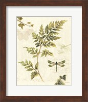 Framed 'Ivies and Ferns III' border=