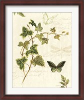 Framed Ivies and Ferns IV