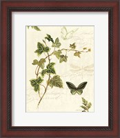 Framed Ivies and Ferns IV