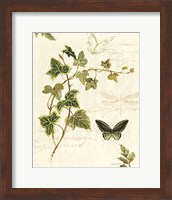 Framed 'Ivies and Ferns IV' border=