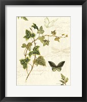 Ivies and Ferns IV Framed Print