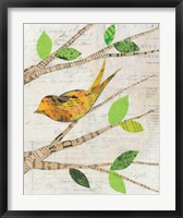 Framed Birds in Spring II
