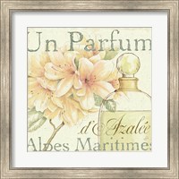 Framed Fleurs and Parfum III