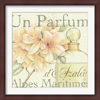 Framed Fleurs and Parfum III