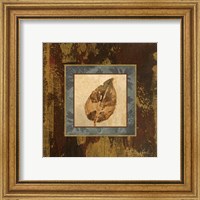 Framed 'Autumn Leaf Square III' border=