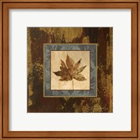 Framed 'Autumn Leaf Square IV' border=