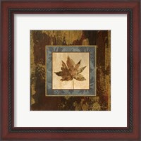 Framed 'Autumn Leaf Square IV' border=