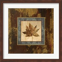 Framed Autumn Leaf Square IV