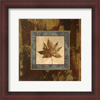 Framed Autumn Leaf Square IV