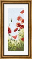 Framed Mountain Poppies II