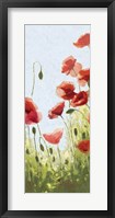 Framed Mountain Poppies II