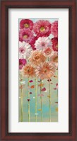 Framed Daisies Spring I