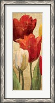 Framed Tulip Fantasy on Cream II