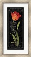 Framed Tulipa Botanica II