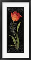 Tulipa Botanica II Framed Print