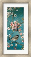 Framed Blossom III