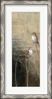 Framed Sparrows at Dusk II