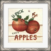 Framed U-Pick Apples