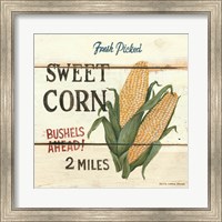 Framed Fresh Picked Sweet Corn